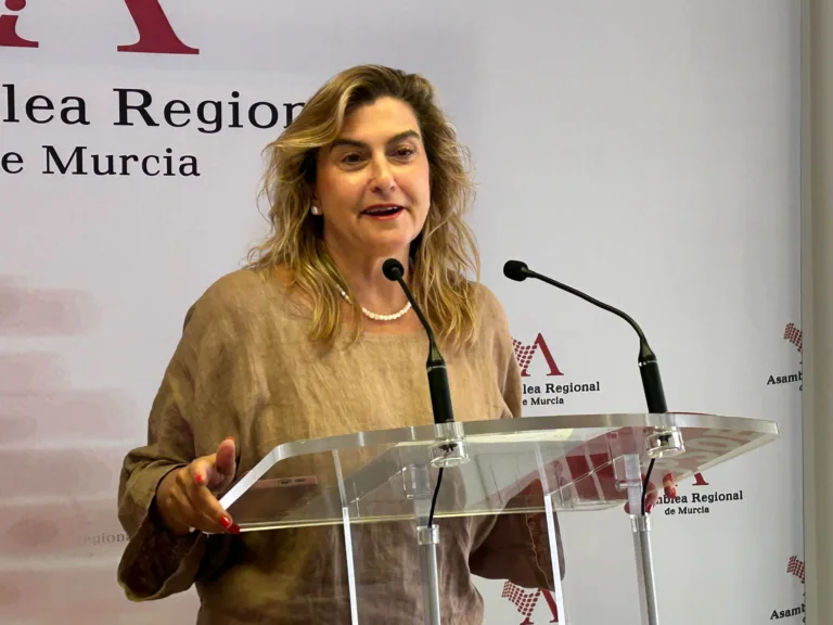 Carmina Fernández pide la comparecencia del consejero de Economía para aclarar el modelo de financiación autonómica