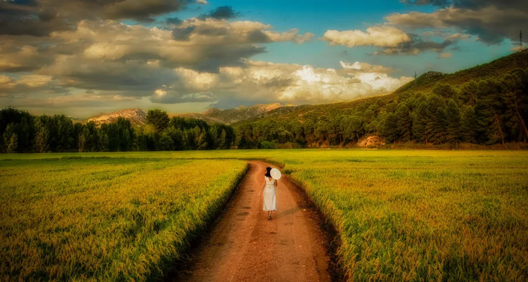 Calasparra da la bienvenida al otoño con las Rutas del Arroz