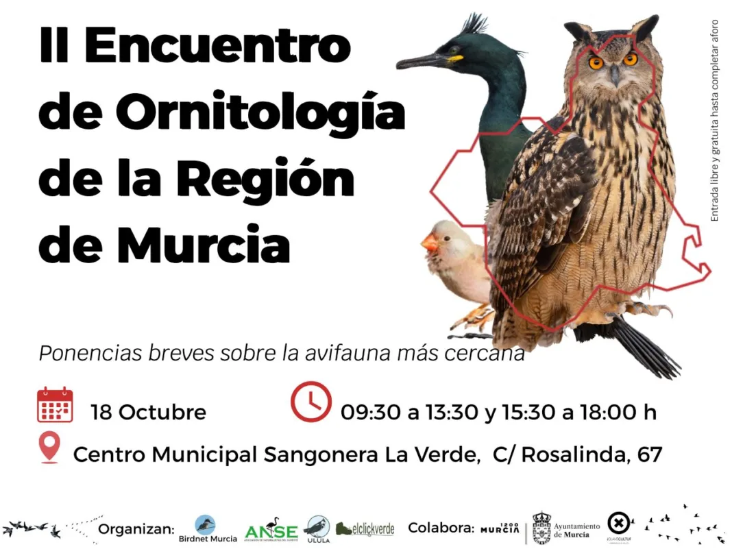 Cartel II Encuentro Ornitologico RM 1 General (002) El II Encuentro de Ornitología de la Región de Murcia reunirá a 18 expertos para divulgar y conservar la avifauna regional