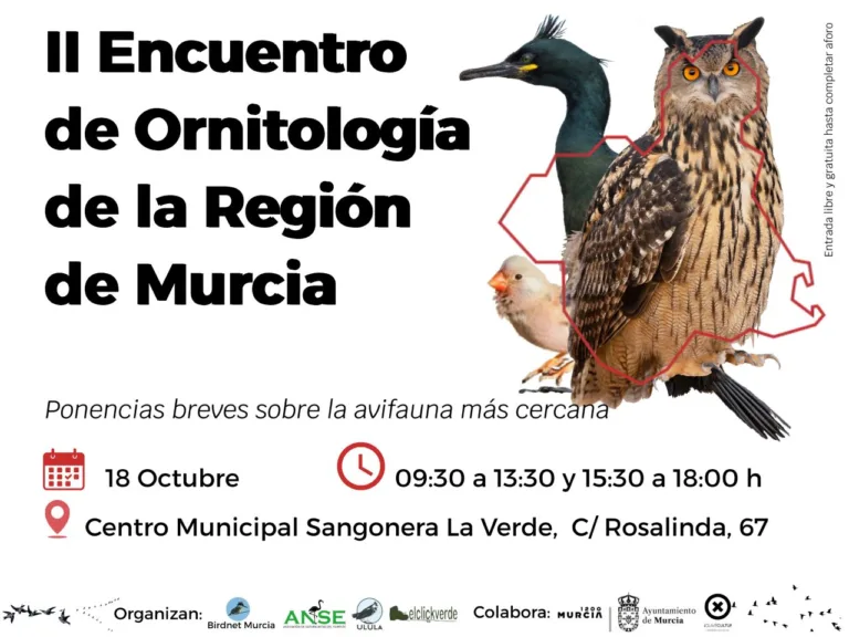 El II Encuentro de Ornitología de la Región de Murcia reunirá a 18 expertos para divulgar y conservar la avifauna regional