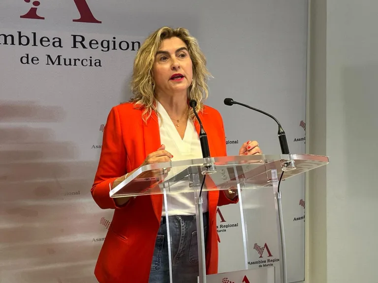 El PSOE logra que la Asamblea Regional recupere su función de control al Gobierno de López Miras