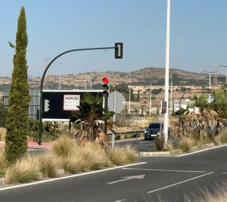 El PSOE denuncia el abandono de la carretera que conecta la A-7 con El Esparragal y Cobatillas