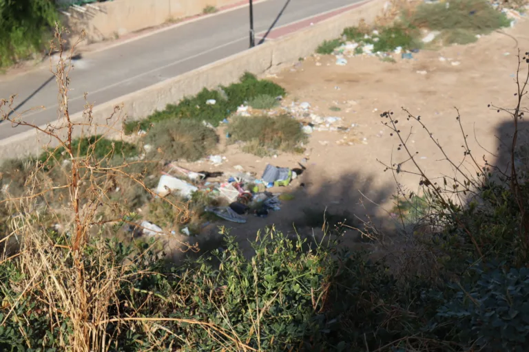 El PSOE denuncia el abandono del Parque Trinidad Segura y exige al Ayuntamiento una actuación urgente de limpieza y vigilancia