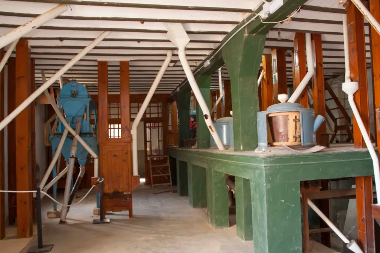 Calasparra celebra las rutas guiadas “Calarroz 2025” para descubrir la siega tradicional y el patrimonio arrocero del municipio