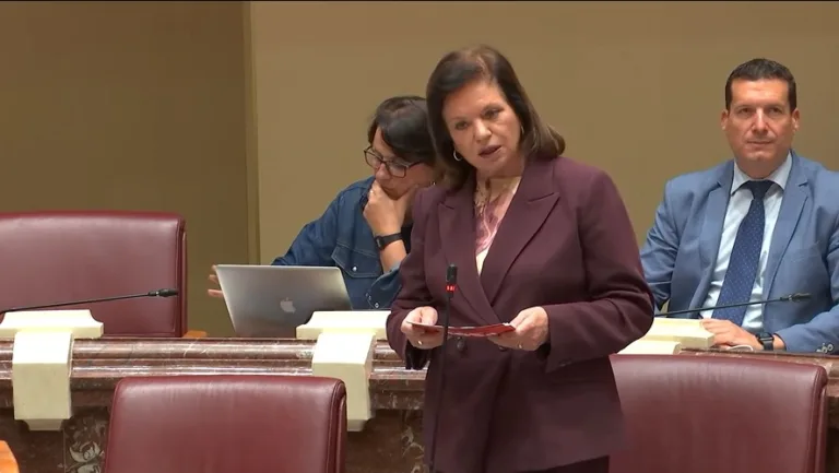 El PSOE propone un acto institucional en la Asamblea Regional para celebrar los 50 años de libertad en España