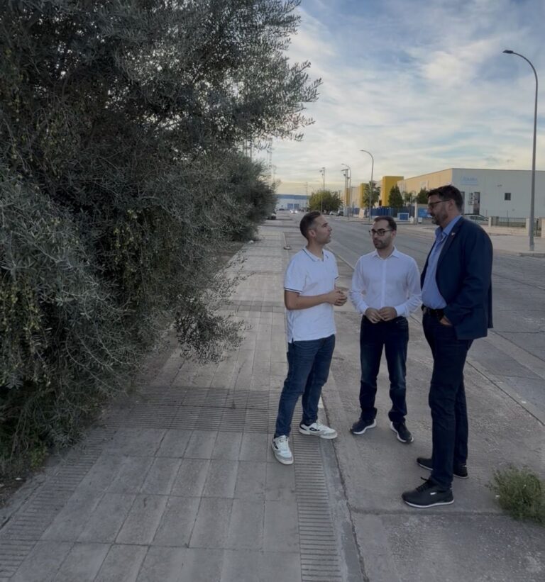 PSOE de Alcantarilla reclama una intervención urgente ante el deterioro del Polígono Industrial Oeste