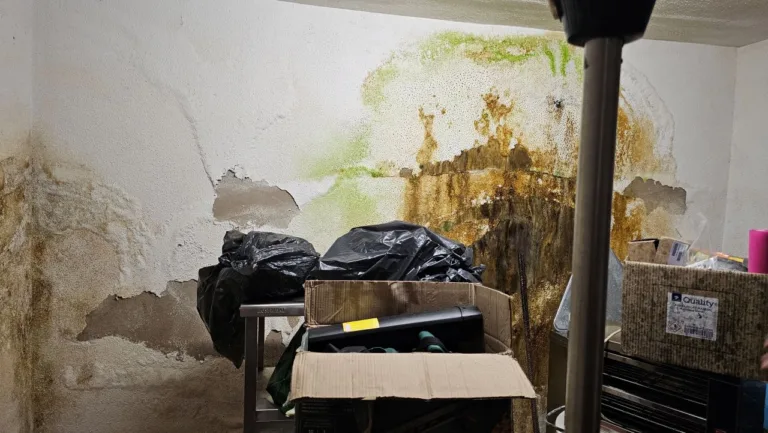 El PSOE denuncia el “deterioro inadmisible” del centro de mayores de El Esparragal y exige una intervención urgente