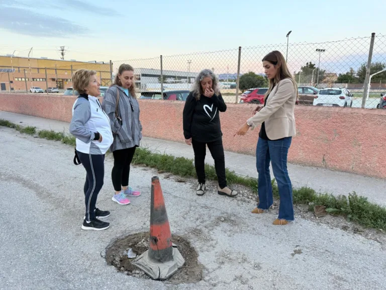 El PSOE propone un censo de desperfectos y un seguimiento público del nuevo contrato de mantenimiento en pedanías