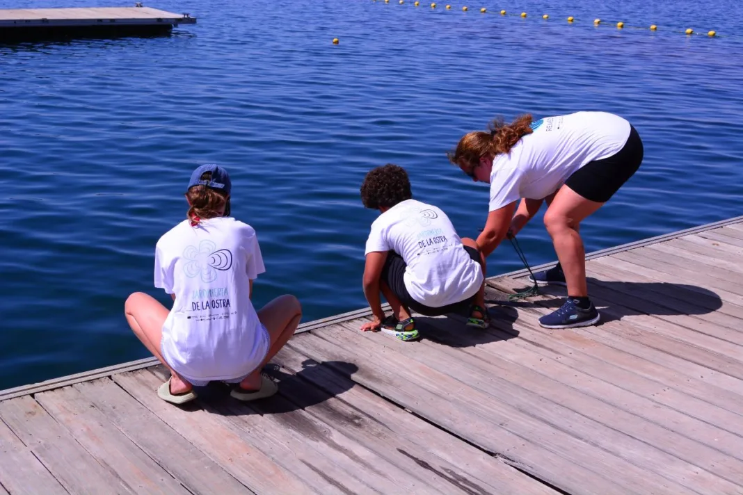 Treinta familias participan en el proyecto de “Jardinería de Ostras” para mejorar la calidad del agua del Mar Menor Treinta familias participan en el proyecto de “Jardinería de Ostras” para mejorar la calidad del agua del Mar Menor