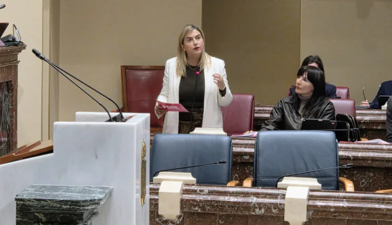 El PSOE exige la dimisión inmediata del consejero de Salud tras el nuevo incendio en la fachada del Hospital Santa Lucía