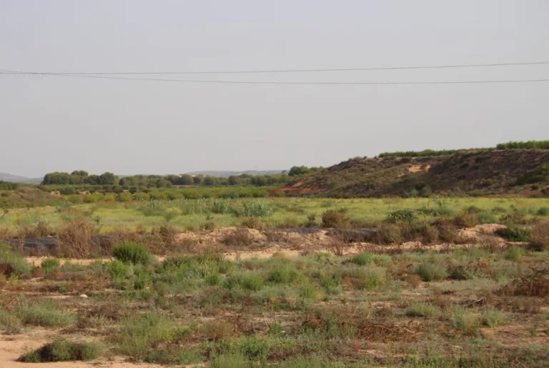 El Gobierno de España autoriza más de 13 millones para proteger Cobatillas y San Javier frente a inundaciones