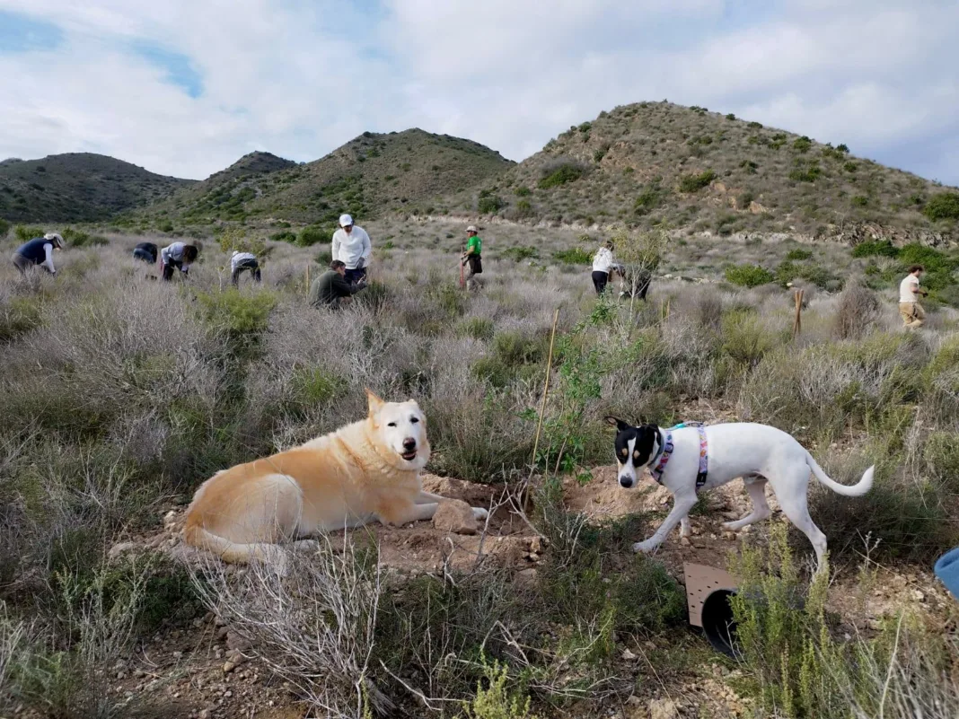 La Fundación SABIC y ARBA organizan una acción medioambiental con el objetivo de fomentar las especies autóctonas de la Región La Fundación SABIC y ARBA impulsan la recuperación de especies autóctonas en la Sierra de Los Victorias