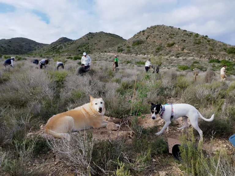 La Fundación SABIC y ARBA impulsan la recuperación de especies autóctonas en la Sierra de Los Victorias