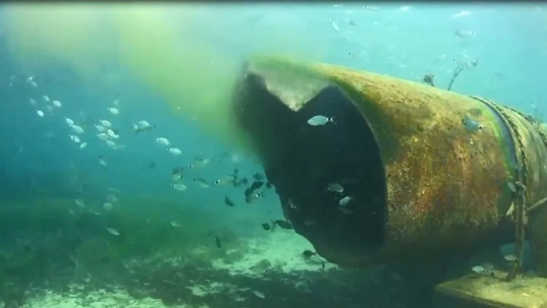 Ecologistas y vecinos alertan de riesgos ambientales en el nuevo emisario de Cala Reona Ecologistas y vecinos alertan de riesgos ambientales en el nuevo emisario de Cala Reona
