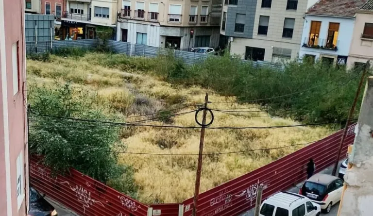 IU-Verdes exige al alcalde de Cieza la limpieza urgente del “solar del cocodrilo”