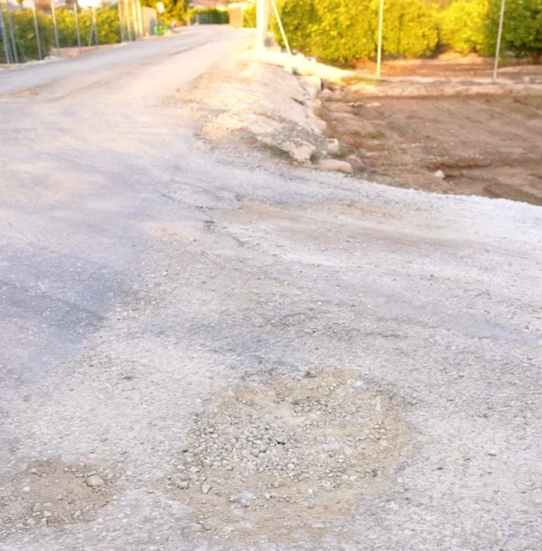 Crecen las denuncias por el abandono de los carriles de la huerta de Murcia