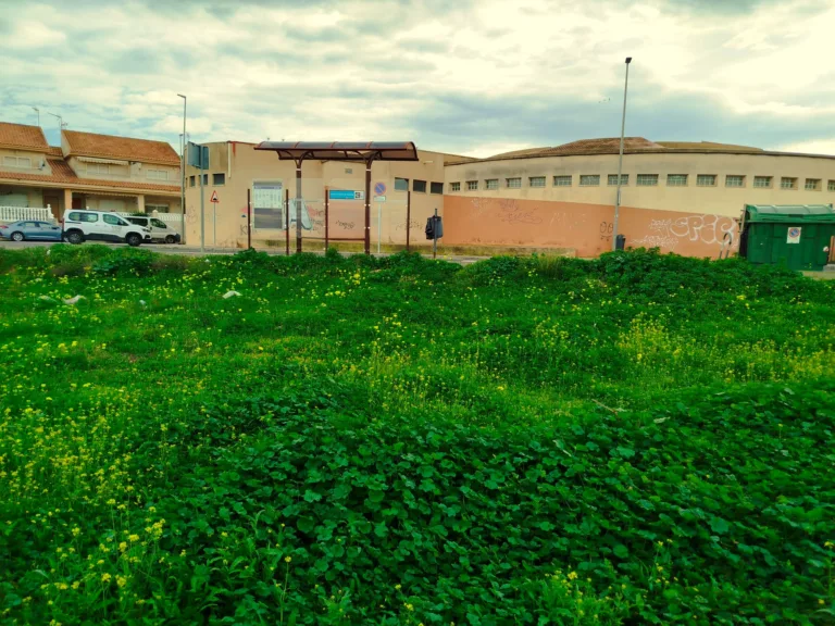 El PCAN denuncia una plaga de ratas frente al centro de salud de Los Barreros y el Parque Antoñares