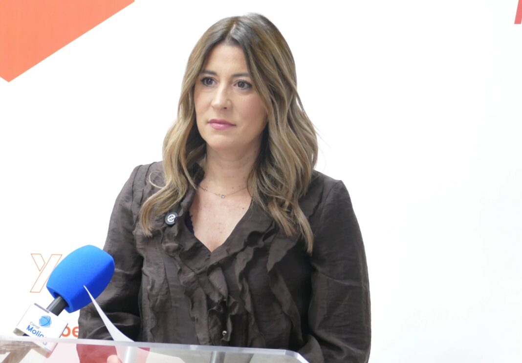 El PSOE pide un “plan de rescate” para El Castillo por suciedad y patrimonio en riesgo El PSOE pide un “plan de rescate” para El Castillo por suciedad y patrimonio en riesgo