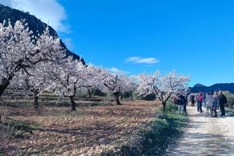 MulaFlor arranca en Casas Nuevas con lleno de público y un fin de semana de tradición