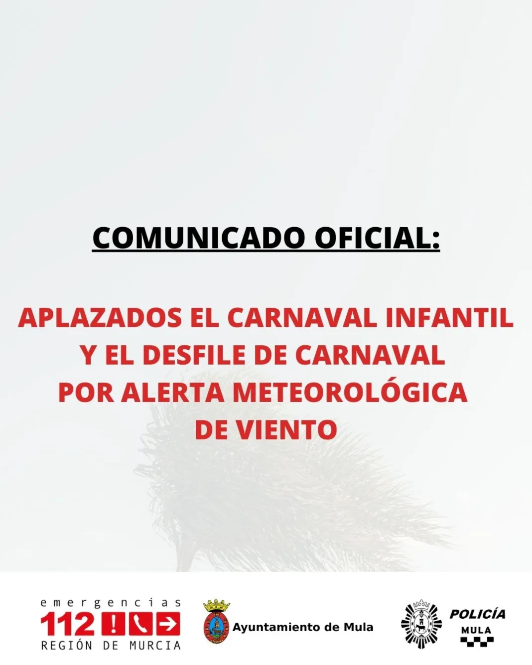 Mula aplaza el Carnaval Infantil y el desfile por una alerta amarilla de viento