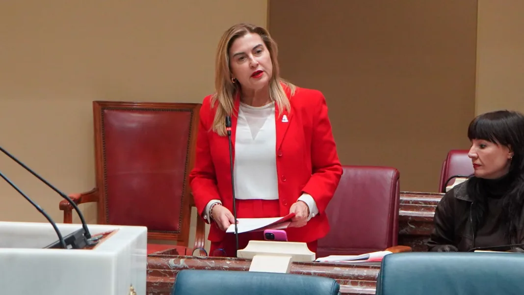 Carmina Fernández exige cambiar “íntegra” la fachada del Santa Lucía y carga contra el PP