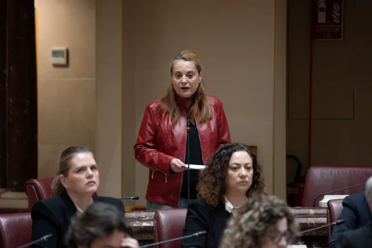 El PSOE acusa a López Miras de incumplir su compromiso contra la brecha salarial