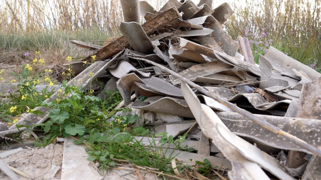 El PSOE denuncia vertidos y maleza en los accesos a la Contraparada