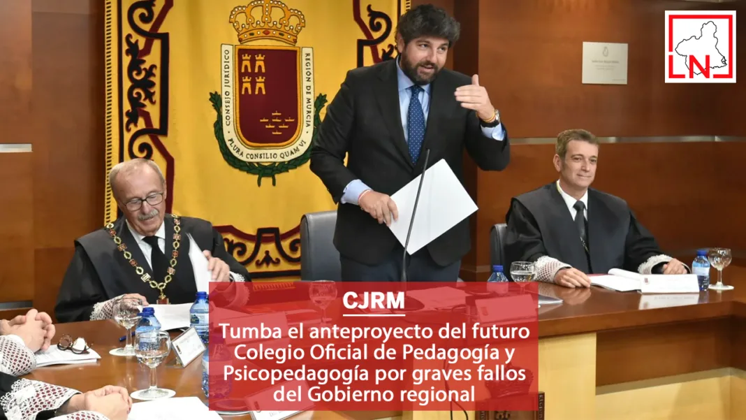 El Consejo Jurídico tumba el anteproyecto del futuro Colegio Oficial de Pedagogía y Psicopedagogía por graves fallos del Gobierno regional