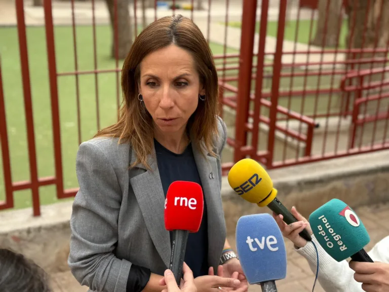 El PSOE exige al Ayuntamiento de Murcia informes de seguridad del arbolado en colegios