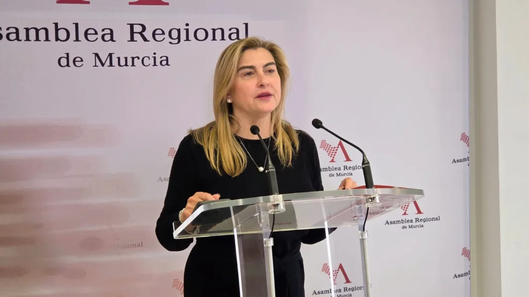 El PSOE lleva a la Asamblea la crisis de la dependencia en la Región