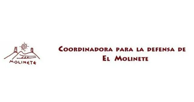La Coordinadora del Molinete pide frenar las obras de la Morería por riesgo patrimonial La Coordinadora del Molinete pide frenar las obras de la Morería por riesgo patrimonial
