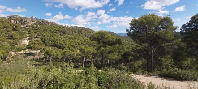 Ecologistas denuncia ante Fiscalía una posible prevaricación por Sierra Espuña Ecologistas denuncia ante Fiscalía una posible prevaricación por Sierra Espuña