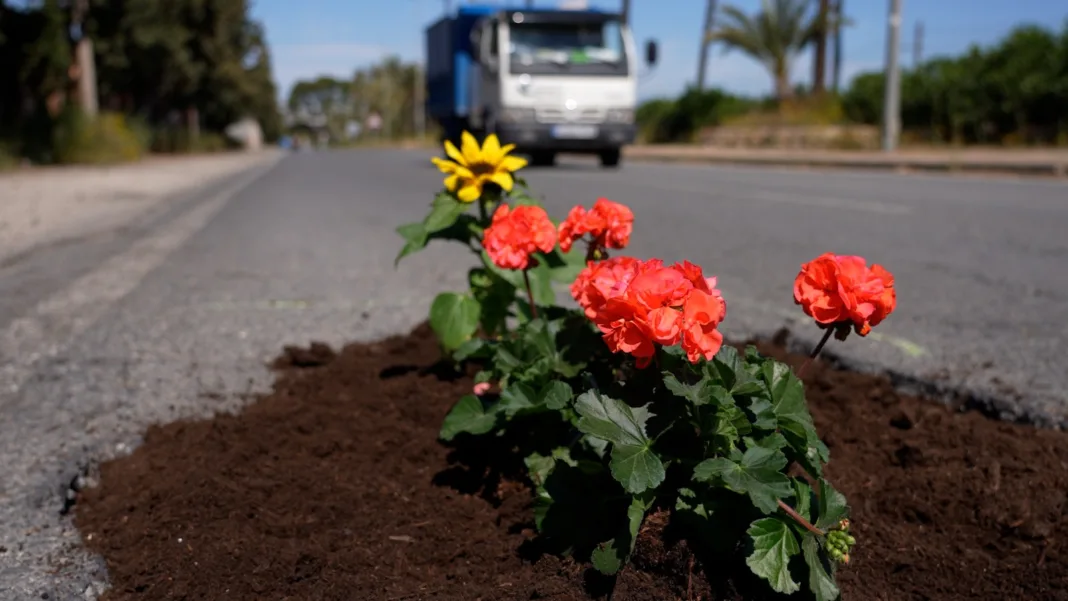 El PSOE lanza “Una flor en cada bache” para denunciar el abandono en pedanías