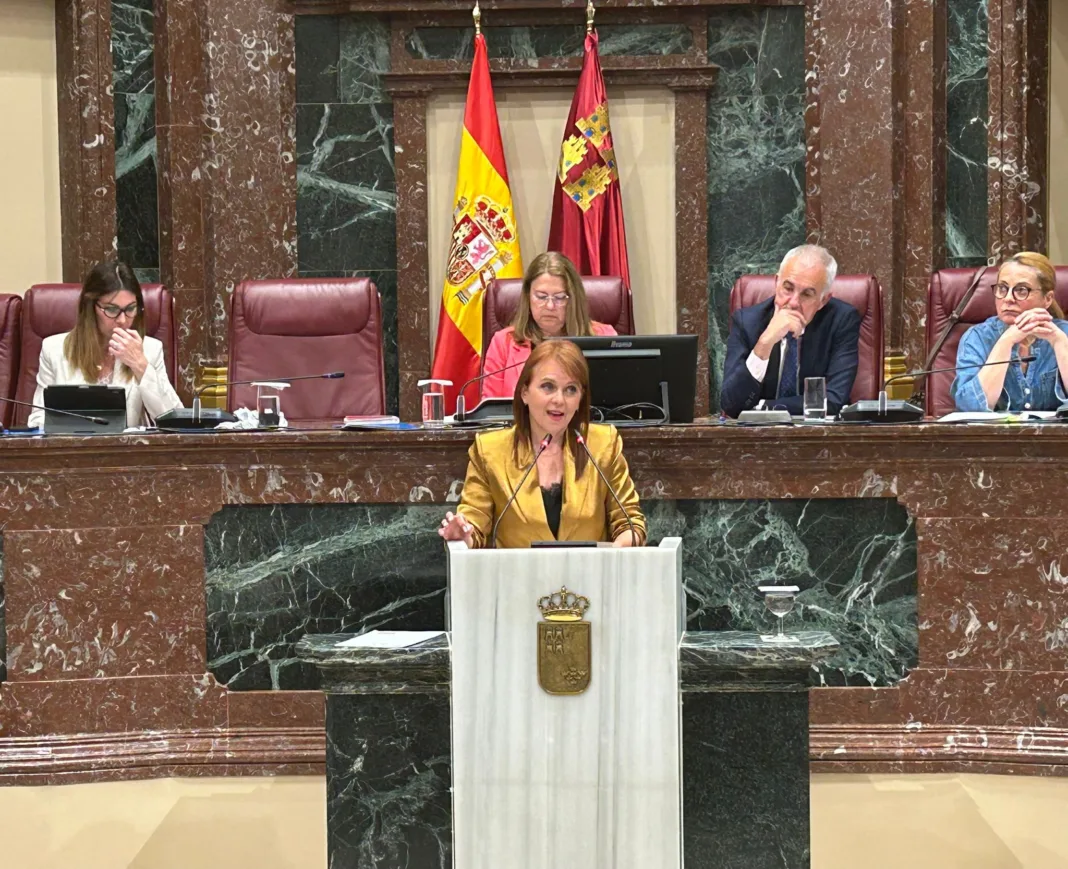 La Asamblea aprueba una residencia pública en Molina con el no del PP