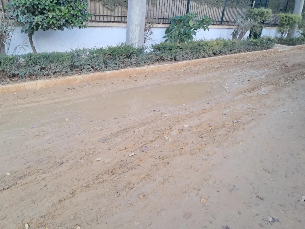 SIN ALBERO (5) El PSOE denuncia que Las Alamedas de Lorca son una “pista de patinaje” por falta de mantenimiento