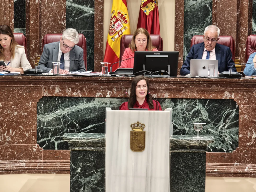 El PSOE acusa al PP de bloquear la reforma de la Ley de Infancia regional