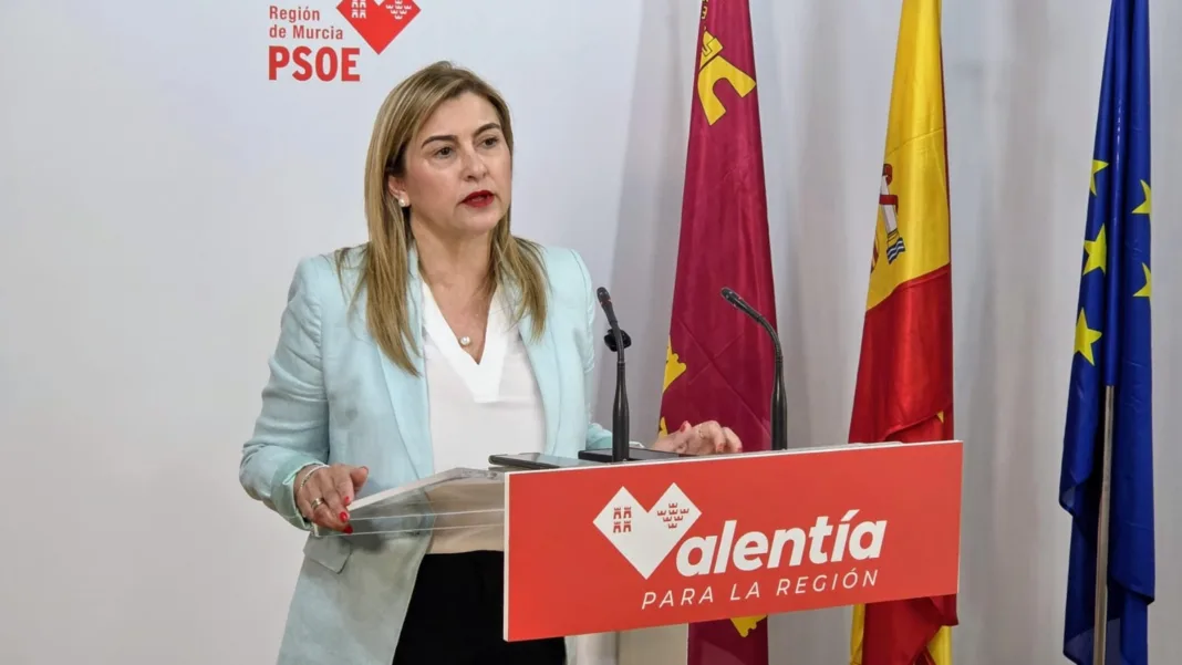 Carmina Fernández 25 mayo El PSOE exige todos los contratos de la trama de prótesis del SMS