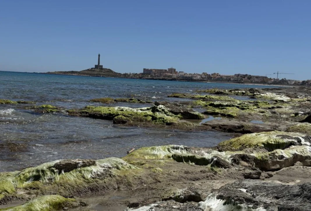 PROCABO cuestiona el “modelo de éxito” del agua en Cartagena
