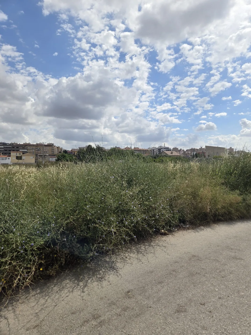 El PSOE reclama un plan urgente para limpiar solares abandonados en Molina de Segura