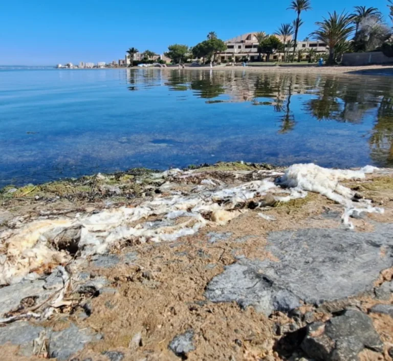 Pacto alerta del aumento de plásticos en las playas del Mar Menor