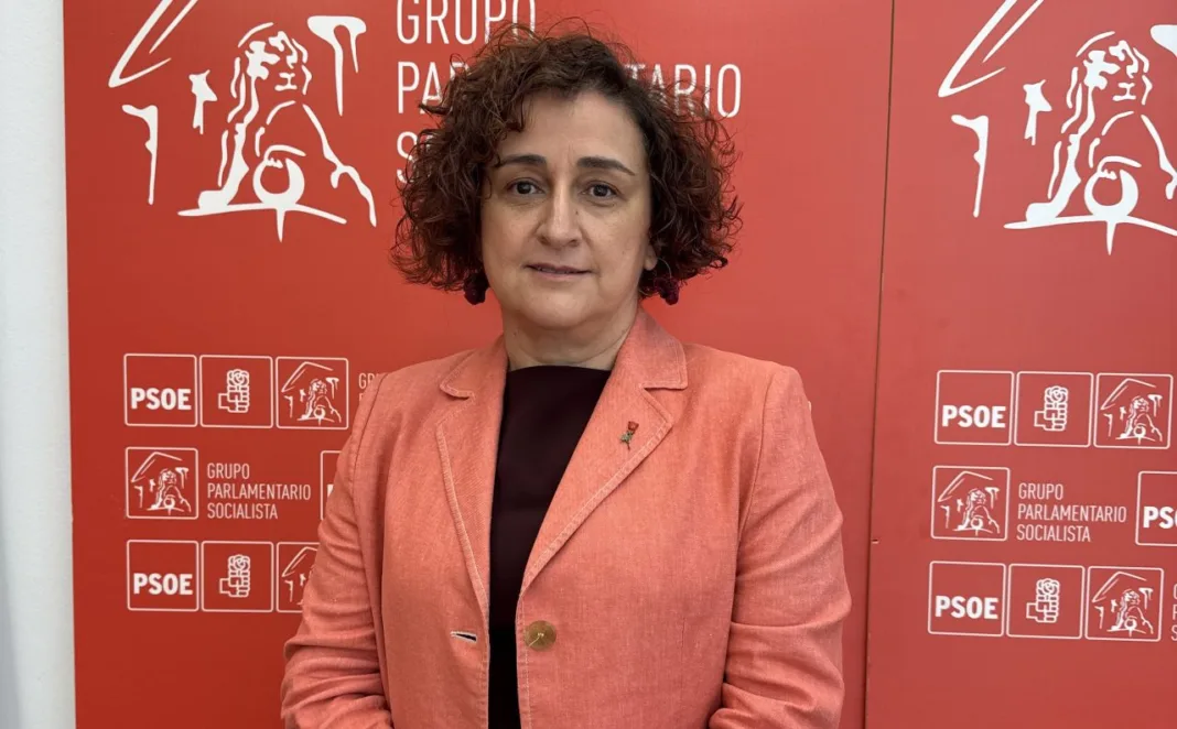 Rives exige a López Miras aceptar los fondos estatales para climatizar colegios