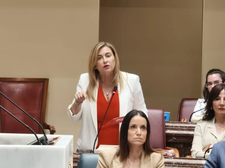 El PSOE exige explicaciones por el ascenso de Isabel Ayala a Salud