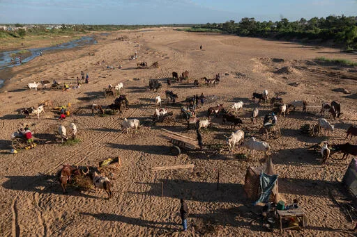 La mitad de la infancia mundial vive expuesta a tres amenazas climáticas La mitad de la infancia mundial vive expuesta a tres amenazas climáticas