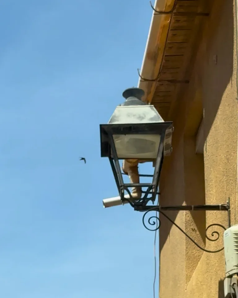 Mula renovará el alumbrado del este del municipio con tecnología LED