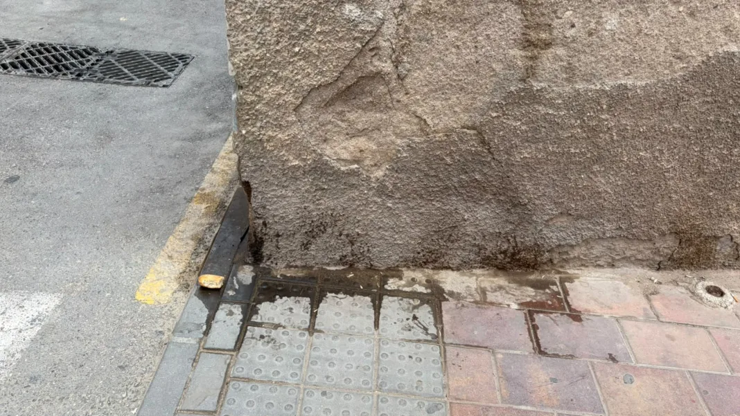 El PSOE denuncia suciedad, malos olores y ratas en San Cristóbal El PSOE denuncia suciedad, malos olores y ratas en San Cristóbal