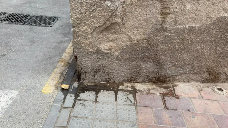 El PSOE denuncia suciedad, malos olores y ratas en San Cristóbal