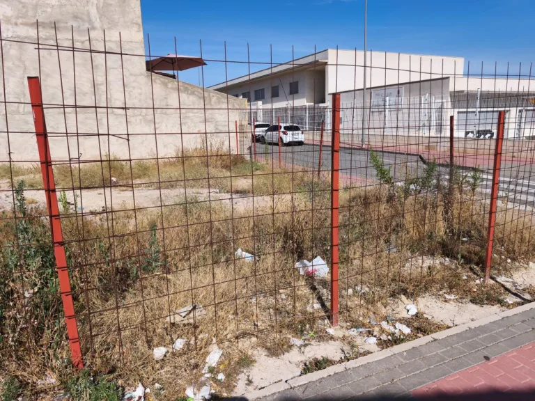 El PSOE exige un plan de choque ante las plagas en Molina de Segura