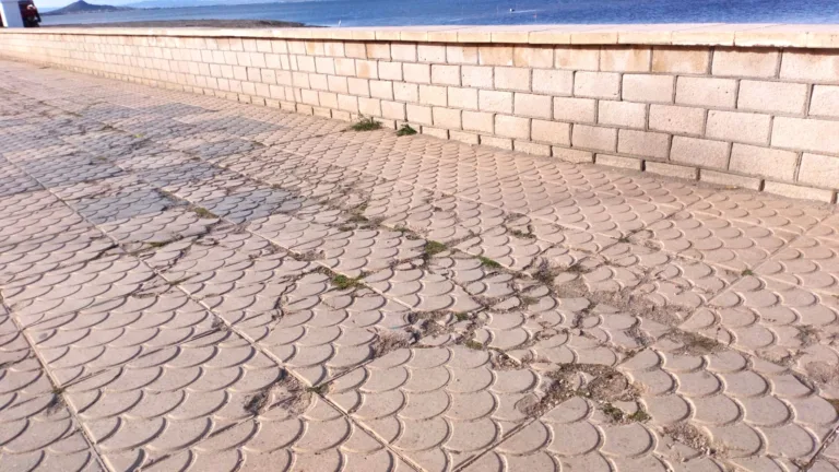 Los Nietos vuelve a denunciar el abandono de su paseo marítimo