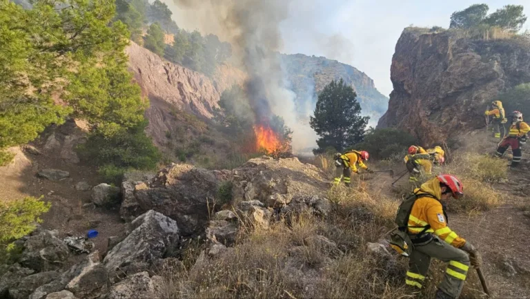 Huermur denuncia al Ayuntamiento de Murcia por ocultar su plan contra incendios forestales