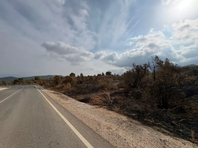 Fulgencio Gil ignora durante tres meses la petición de hidrantes en Aguaderas